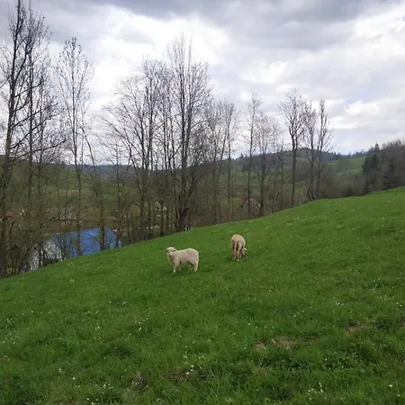 Sadyba Na Luzi Verkhne-Studenyy Dış mekan fotoğraf