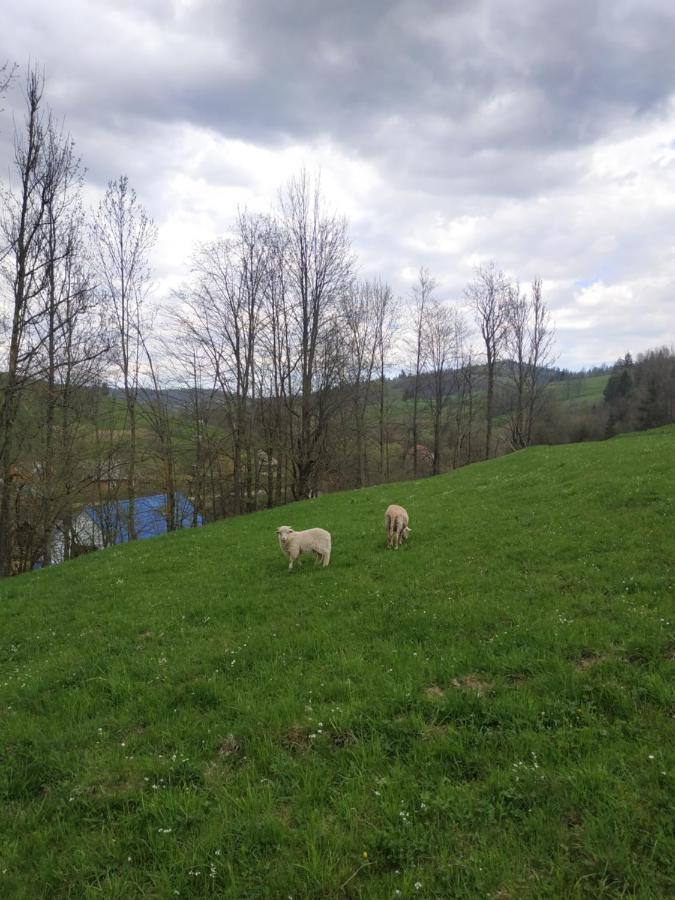 Na Luzi Dom wakacyjny